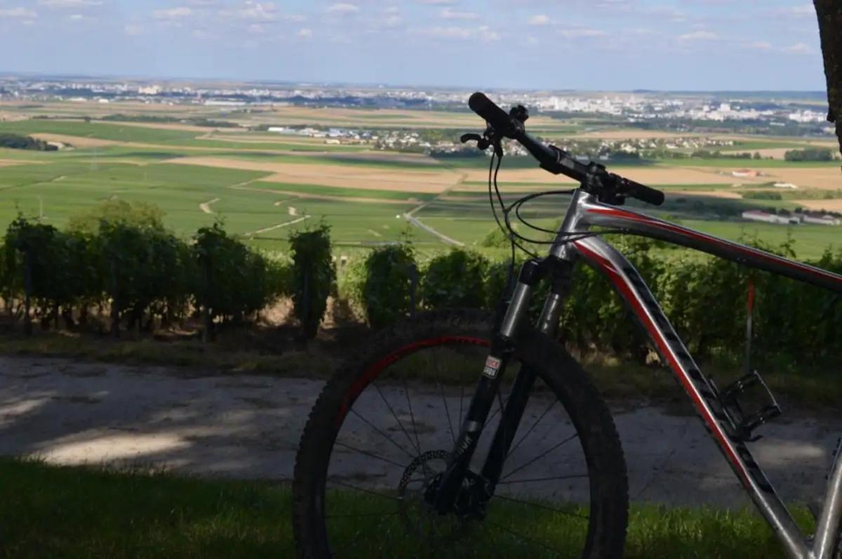 Agreable Maison Petit Jardin A 7 Minutes De Reims Pargny-les-Reims 外观 照片